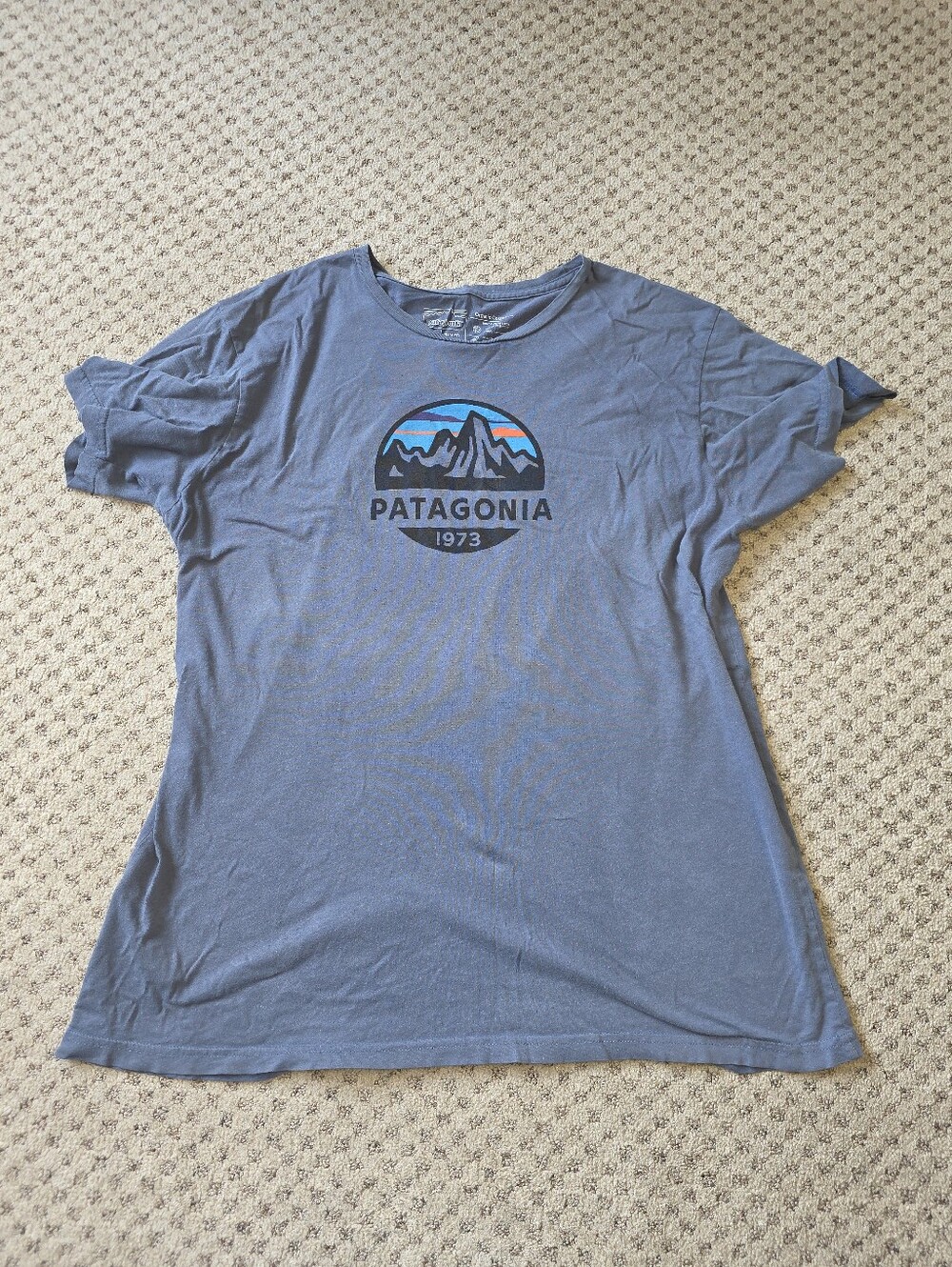 Patagonia Graphic Tee
